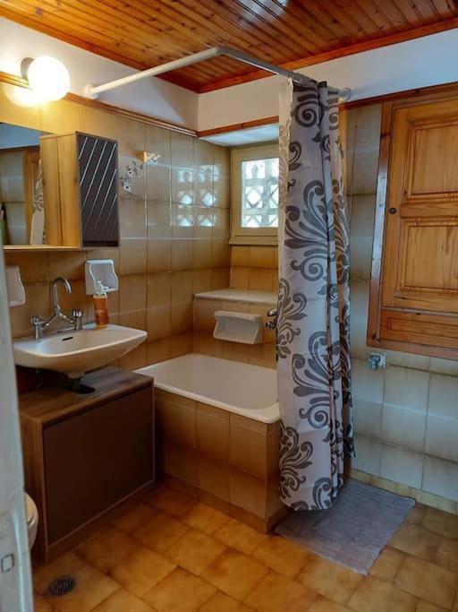 Gyzi 'S House Daire Tínos Dış mekan fotoğraf